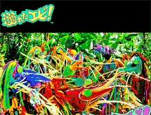 Tablet Screenshot of d-shrimp.com
